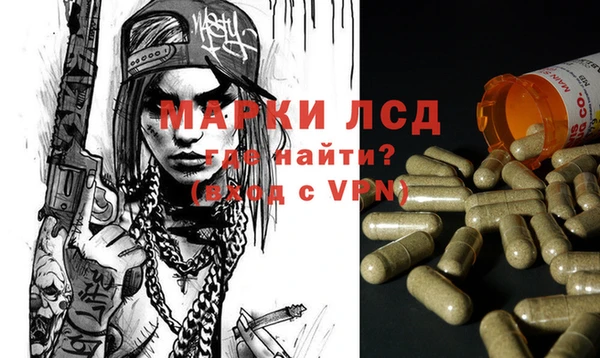гашик Алексеевка
